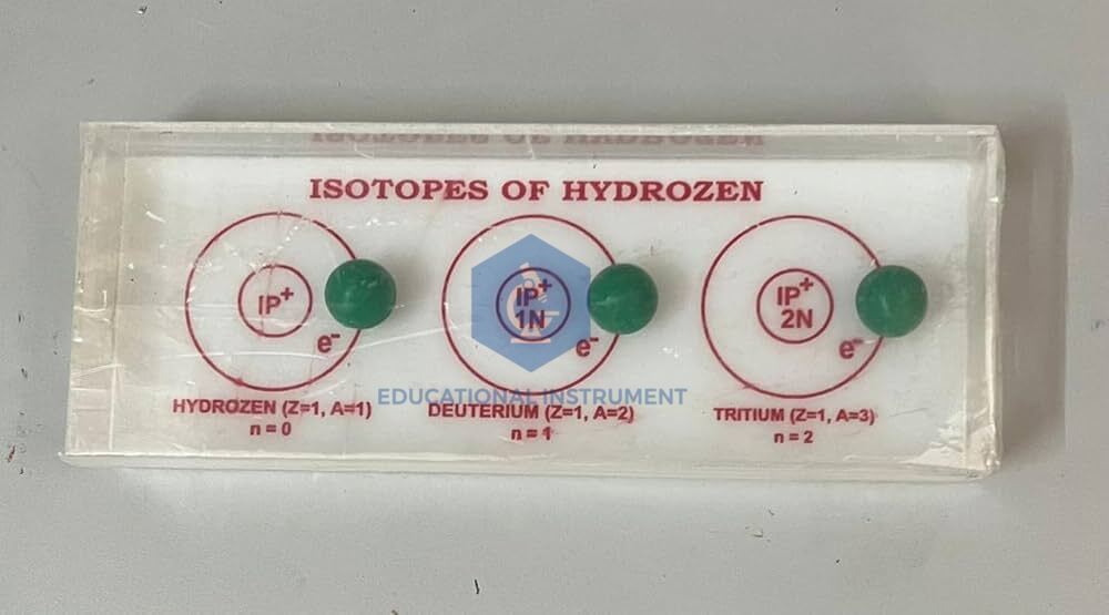 Isotopes of Hydrogen Model